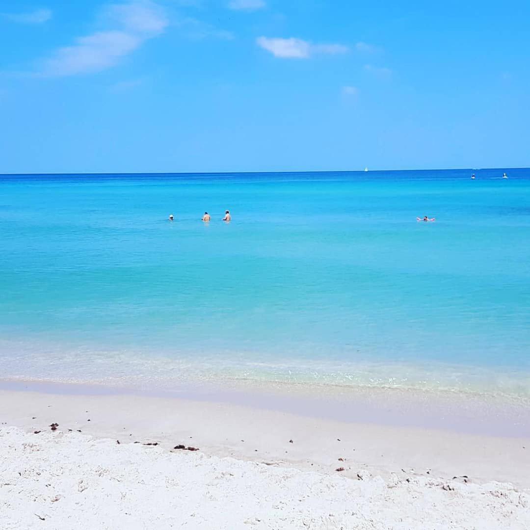 Miami Hollywood Condo For 4 People 001-21Vic Luaran gambar